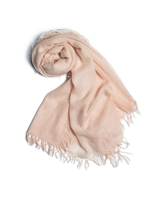 Bel Cashmere Pink Cashmere Foulard With Fringes Dusty