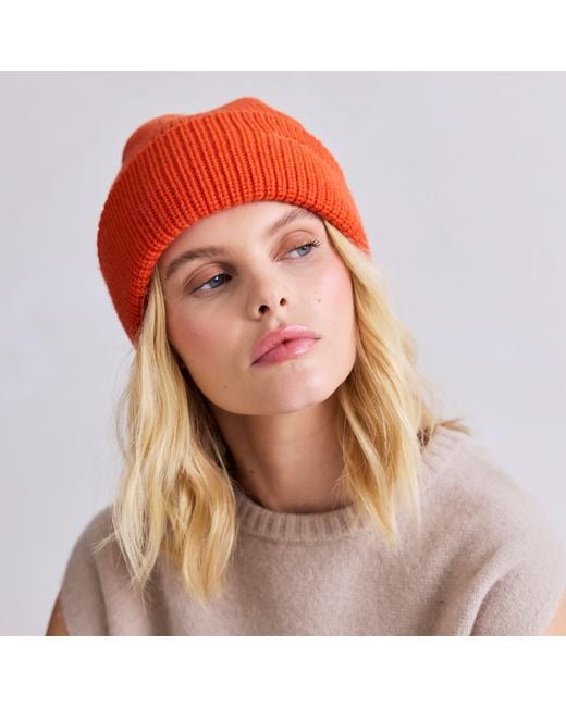 Arctic Fox & Co. Embroidered Merino Wool Beanie