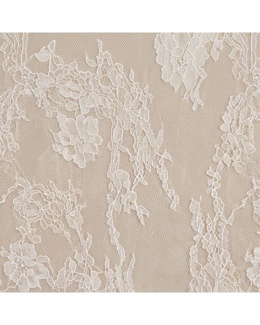 Modenaire White Lace Overlay Crop Top With Sheer Long Sleeves And Bow Tie Detail