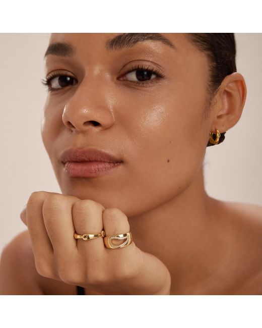Vanhi Metallic Colette Link Droop Ring