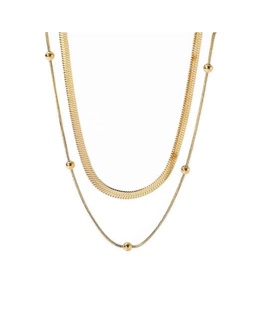 Elk & Bloom Metallic Dainty Chain Choker