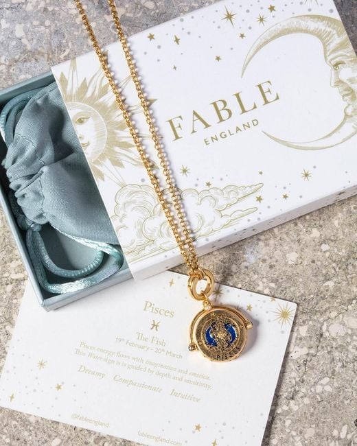 Fable England Metallic Pisces Zodiac Spinner Necklace
