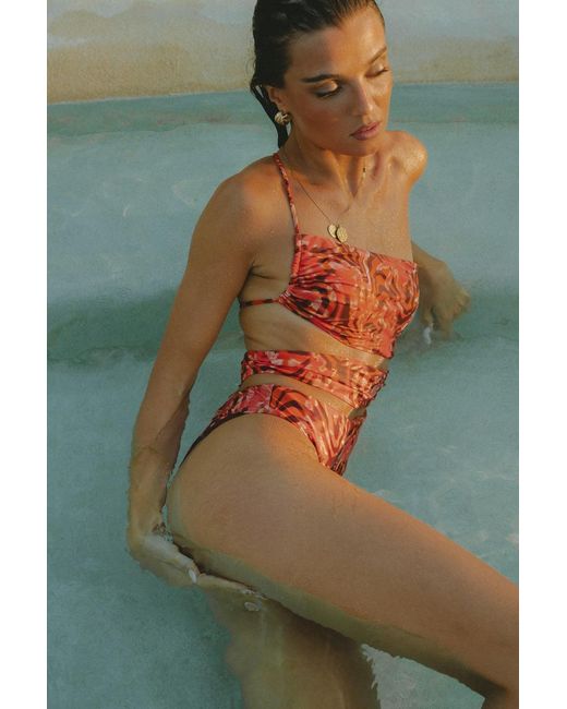 Wild Lovers Orange Heatwave Swimsuit