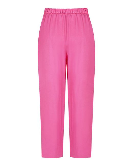 Nocturne Pink High-waisted Carrot Pants-fuchsia
