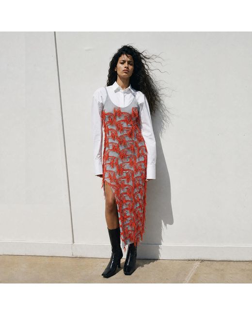 Ccy Currency Red Cotton Fringe Dress