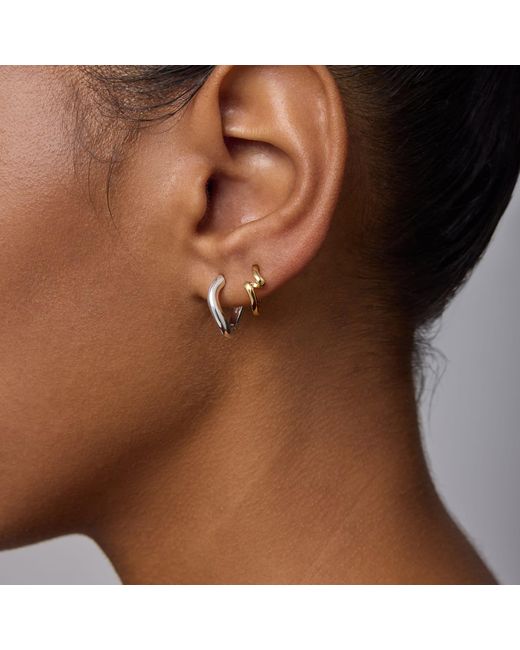 Vanhi Metallic Nori Twisted Hoop Earrings