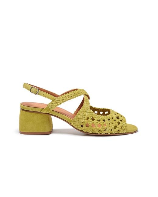 Naguisa Yellow Uga Rounded Pistachio