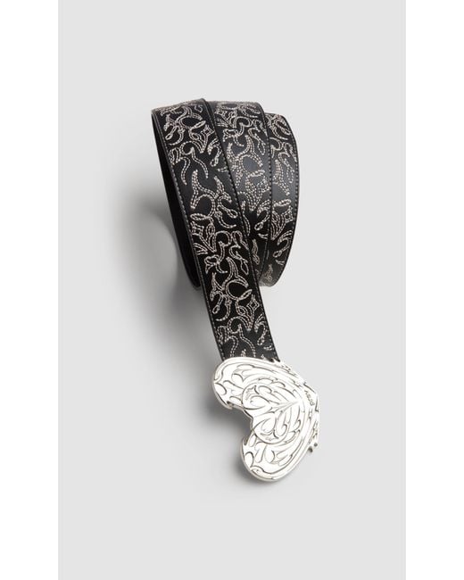 PREVU Black Regan Belt