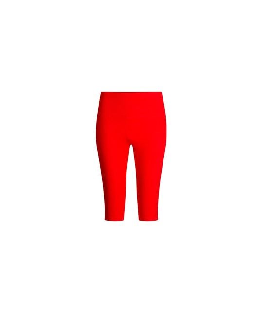 The Koozy Red Charlotte High Waist Shorts