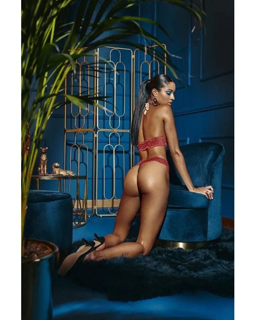 Bracli Pink Sydney Dark Single