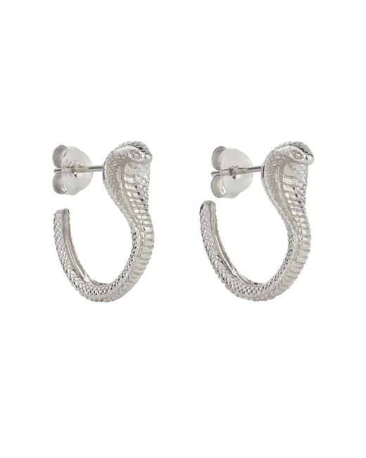 Zoe & Morgan Metallic Cobra Hoops