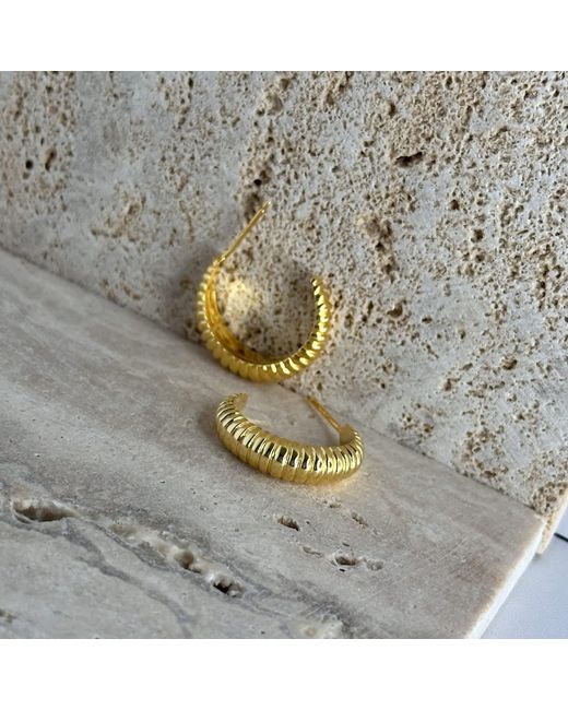 Clemence Wren Metallic Graduating Ridge Hoop Earrings