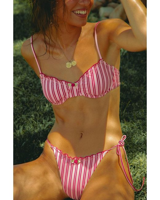 Wild Lovers Pink Dolly Daze Bikini Top