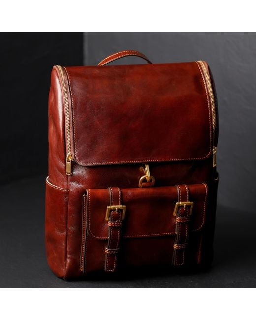 Time Resistance Brown Large Leather Backpack for men