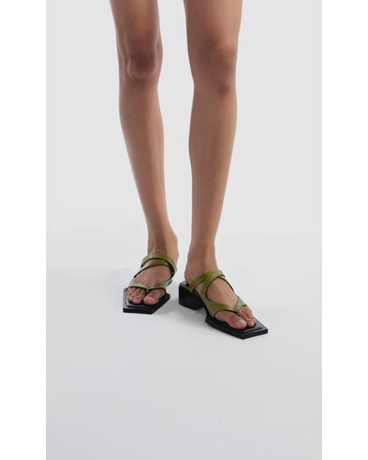 PREVU Green Karel Mule