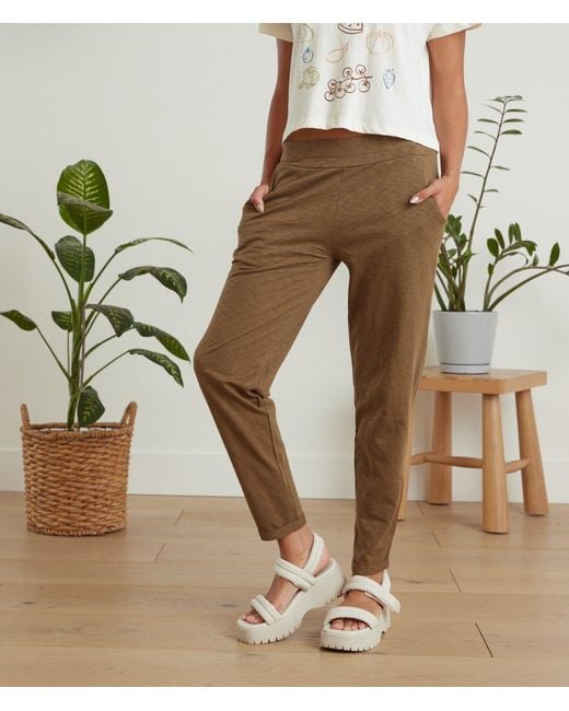 Known Supply Green Organic Cotton Mid Rise Pants