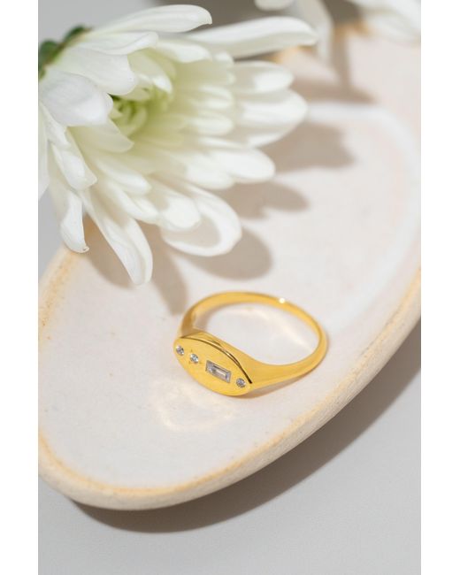 Zynnia Collective Metallic Signet Ring