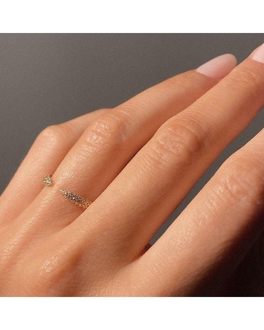 Aaria London Metallic Claw Ring