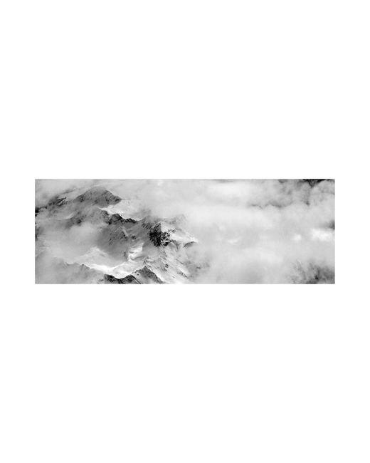 Zenzee Gray Cashmere & Wool Nature Scarf — Mountains