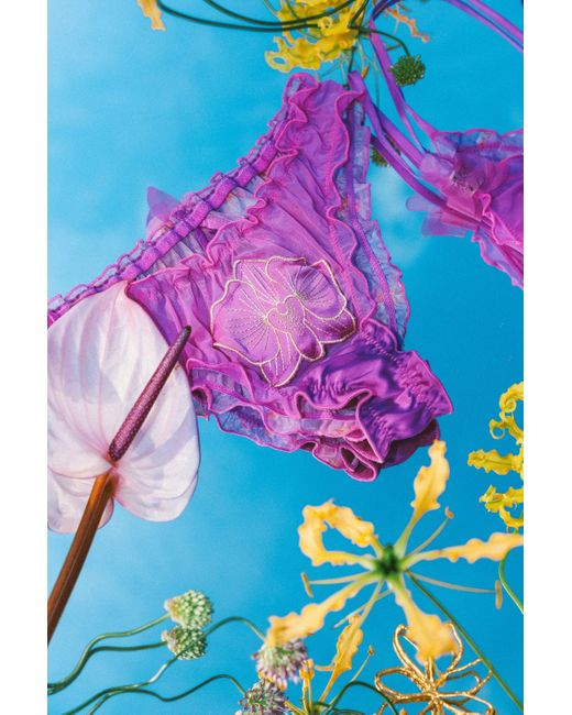 Empress Mimi Purple Orchidea Ruffled Brief With Flower Detail