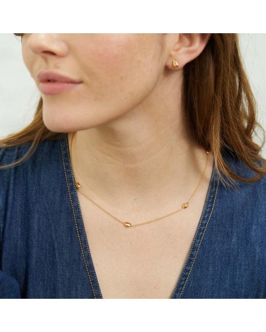 Auree Jewellery Metallic Moka Multi Cowrie Shell Vermeil Necklace