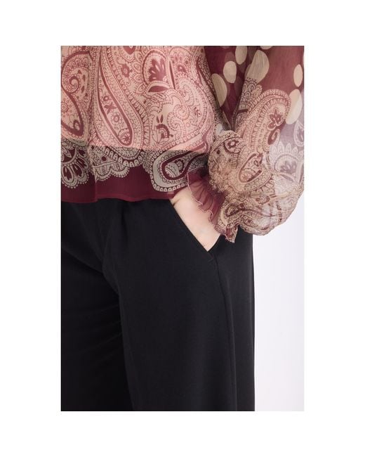 Georgette Brown Luna Sheer Blouse