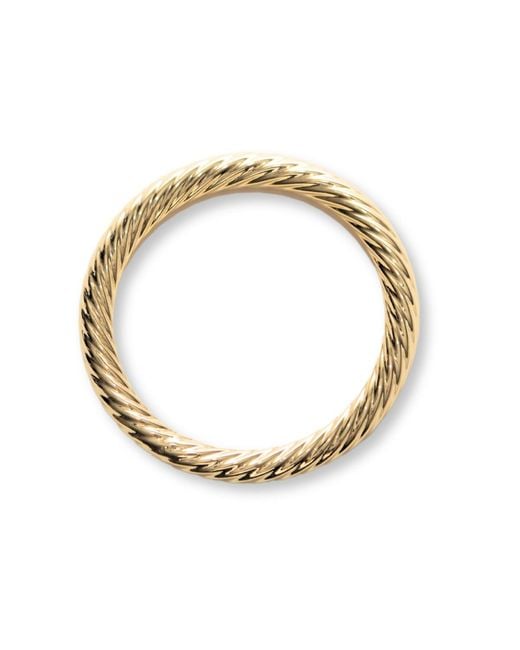 Argento Vivo Metallic Twisted Whitney Bangle