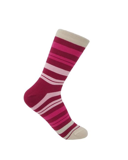 Peper Harow - Made in England Red Socks Bundle – Pinky