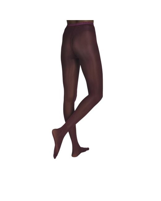 Hedoine Purple The Intrigue
