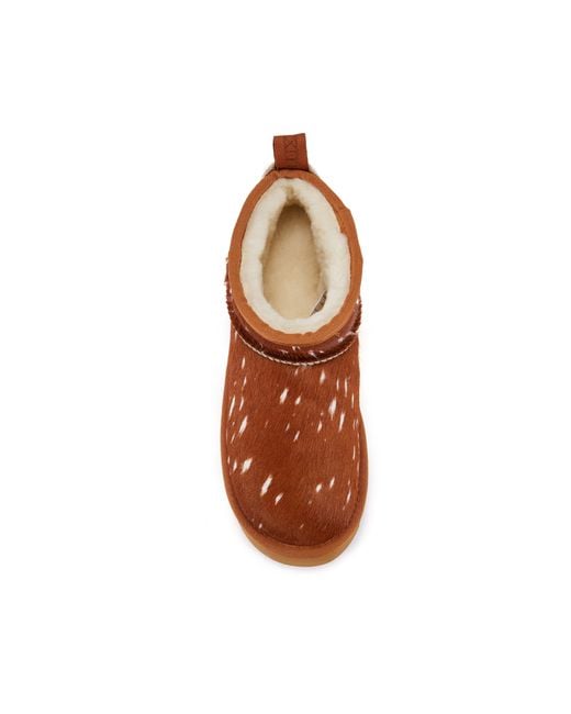 Australia Luxe Brown Cosy Ultra Short Platfoam Bambi