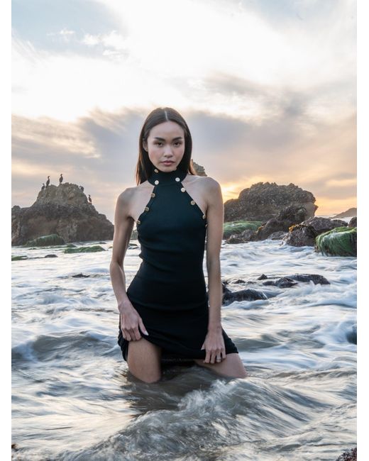 Catnip and Seaweed Blue The Little Midi Dress