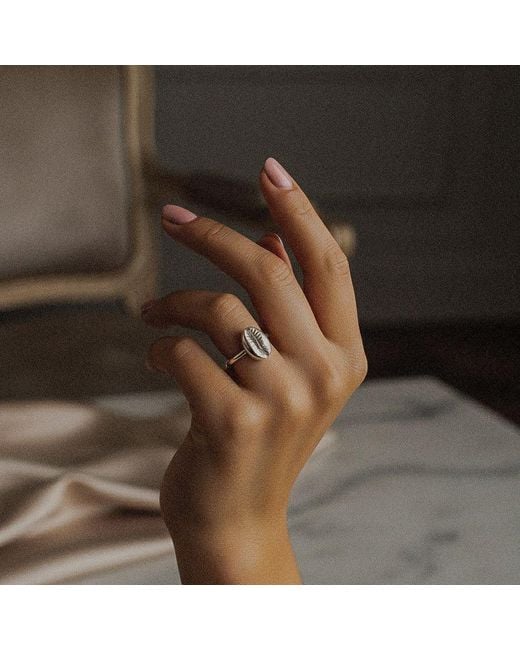 Arianne Delaney Metallic Sterling Cowrie Shell Ring