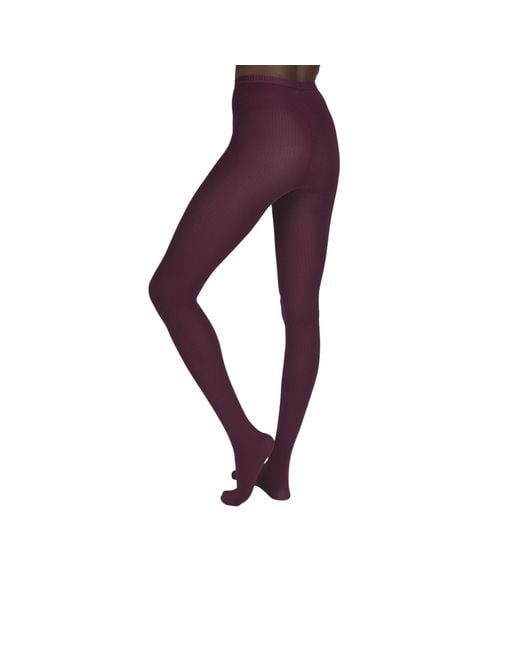 Hedoine Purple The Rib