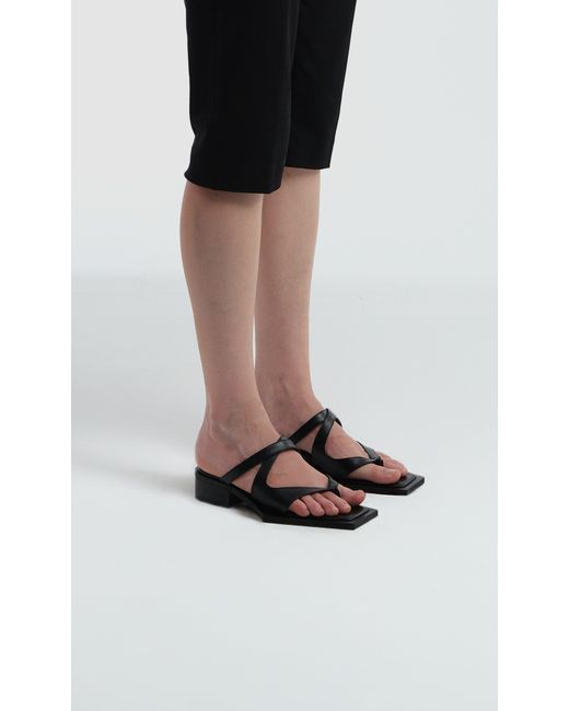 PREVU Black Karel Mule