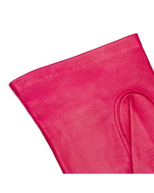 1861 Glove Manufactory Pink Vernazza