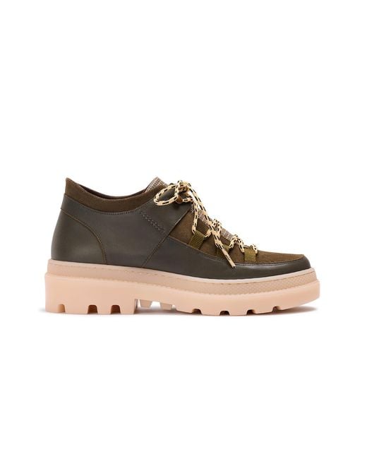 Naguisa Brown Abra Oliva Check