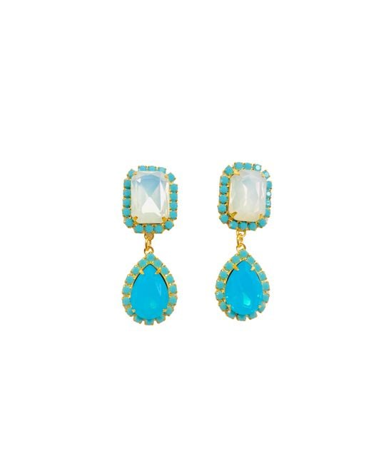 The Pink Reef Blue Jewel Drop Neons