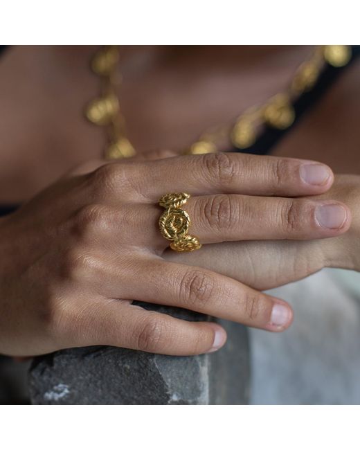 EVA REMENYI Metallic Nautilus Chunky Ring