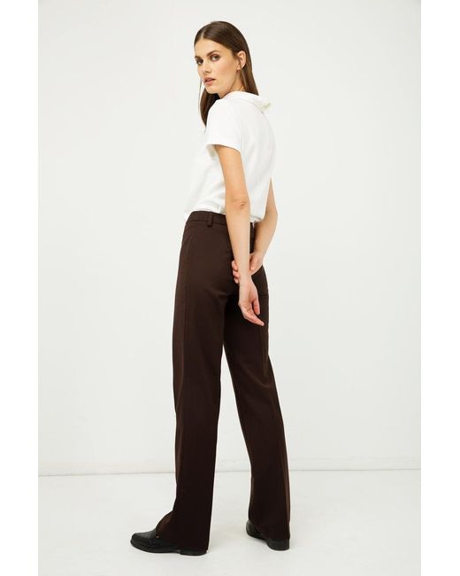 Conquista Brown Classic Straight Trousers