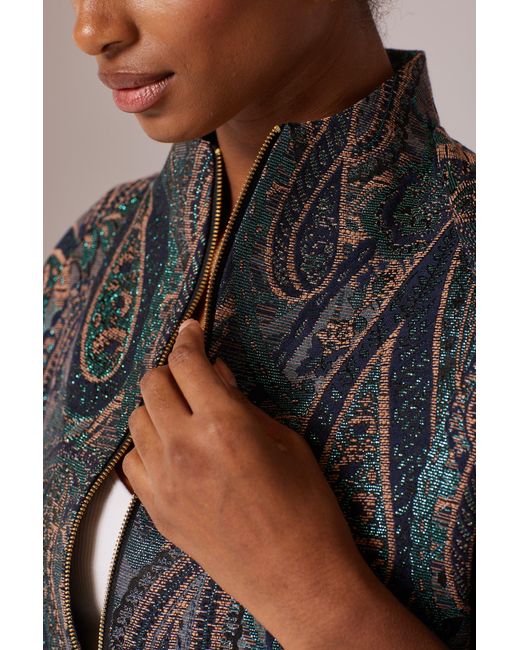 Lioness by Tf Gray The Peacock Jacket