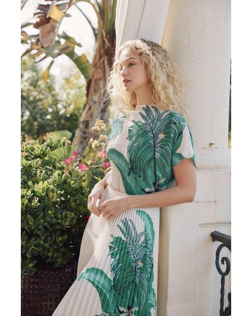Wild Cosmos Green Lillian West Palm Honeycomb Texture Top