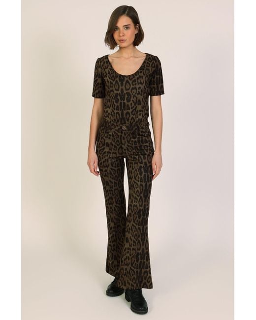 Traffic People Brown Bet Lynch Lives Leopard Print Staunch Flared Trousers