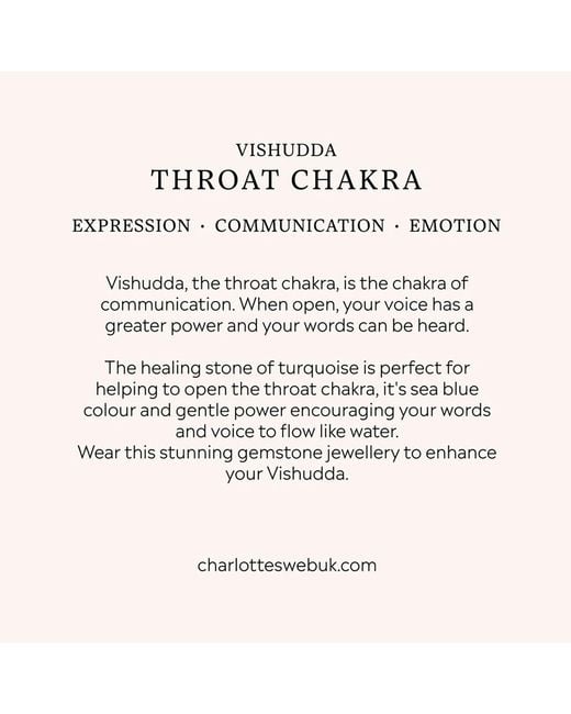 Charlotte's Web Jewellery Metallic Throat Chakra Necklace for men