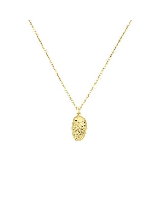 Zoe & Morgan Metallic Soul Paua Necklace