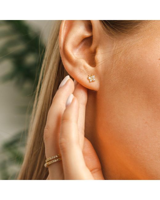 BLOOMTINE | Earth Angel HQ Metallic Enchanting Flutterfly Vermeil Butterfly Studs