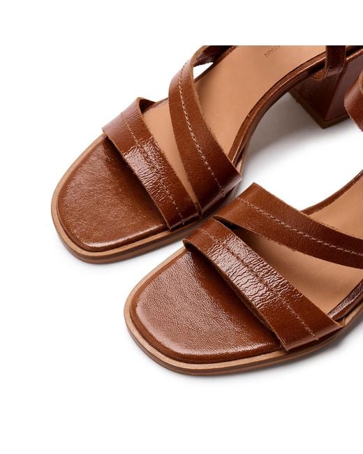 Naguisa Brown Balis Gloss
