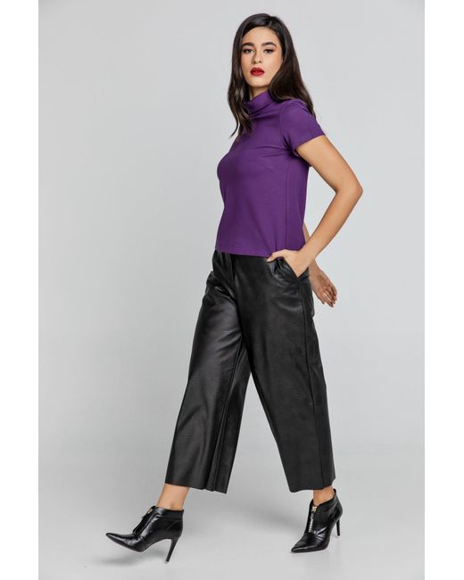Conquista Purple Short Sleeve Mauve Top