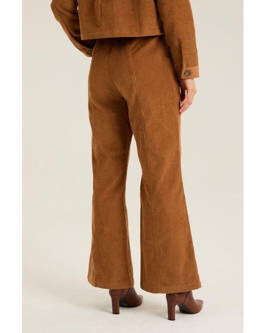 Raishma Brown Seraphina Trousers
