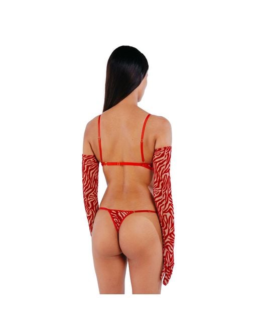 Perilla Lingerie Red Kylie Thong