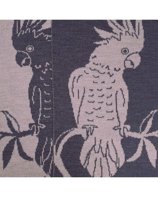 Otto & Spike Blue Scarves for men